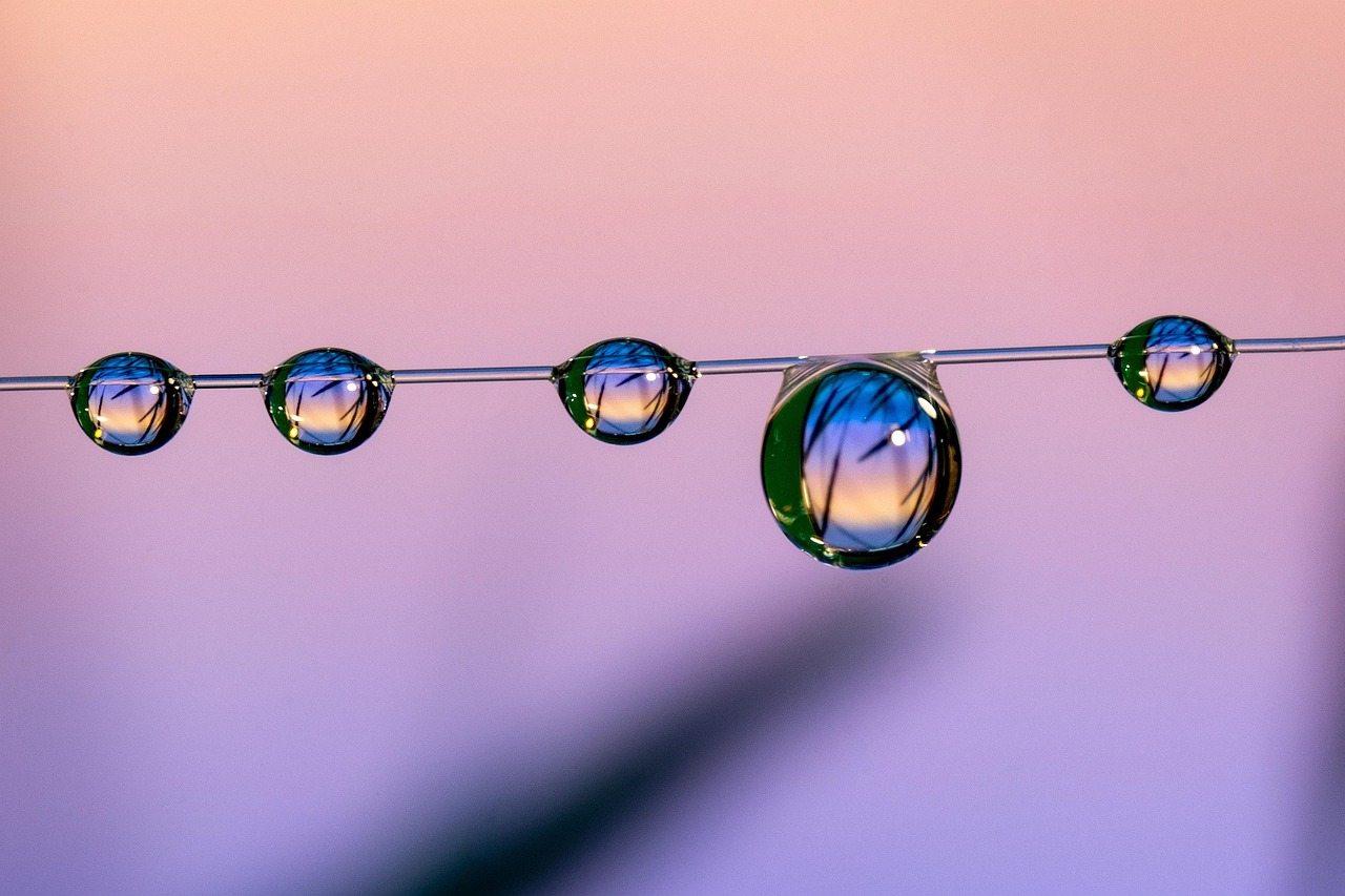 泛娱乐，注册|如何在社交媒体上建立品牌形象