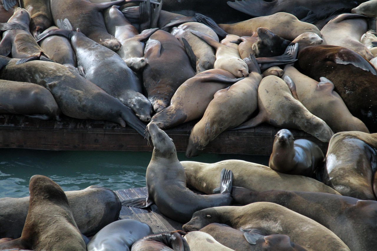 在一些网游中,技术支持成就了哪些传奇人物?