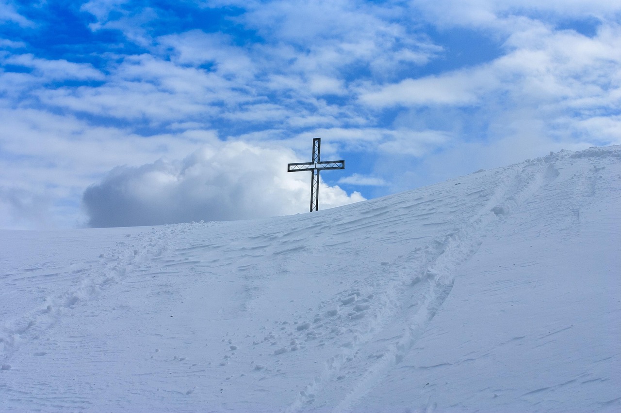 中免555水蜜桃双爆珠:网络平台代理怎么取消