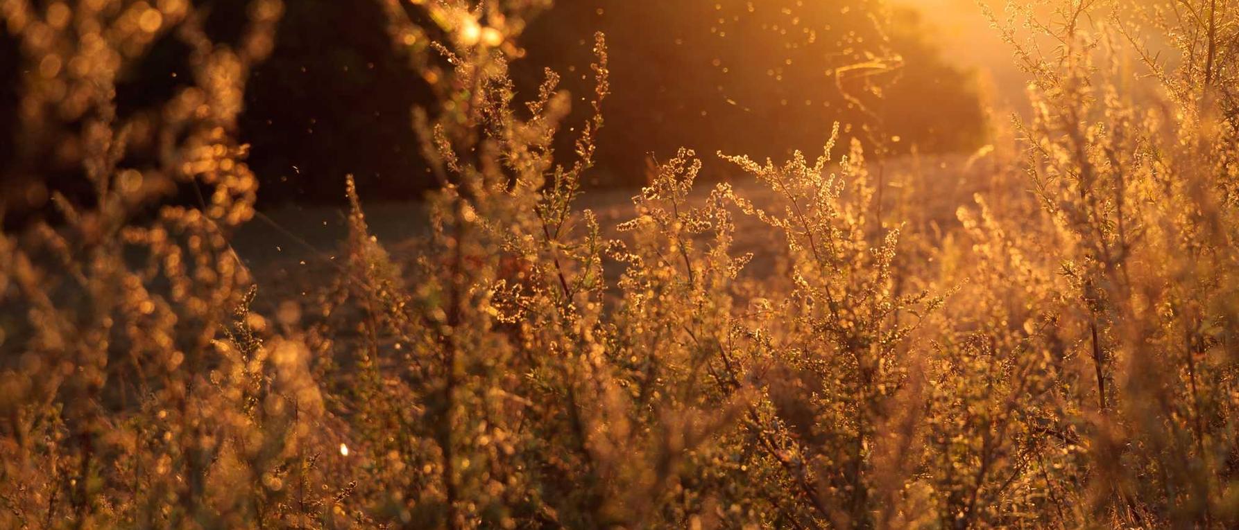 剑网3指尖对弈:莲湖区注册公司代理