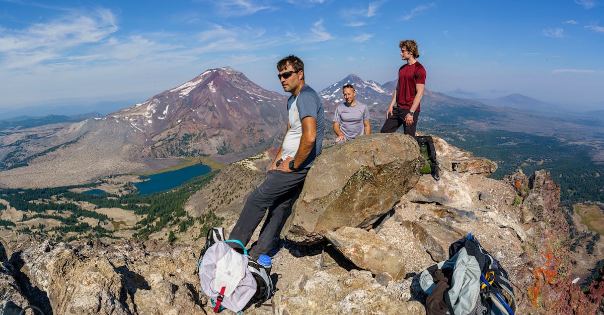 杏鑫虫虫助手APP详情下载教程地址