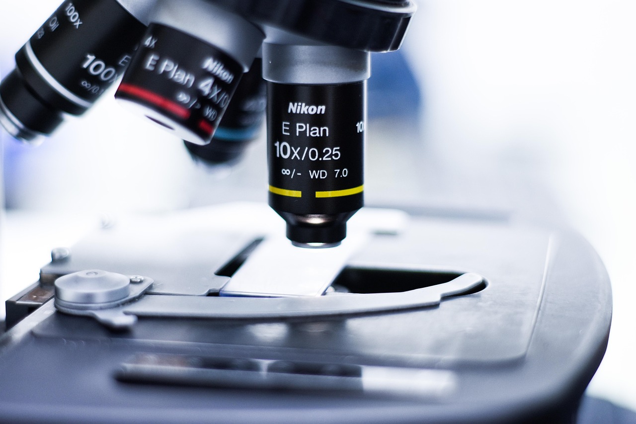 传奇盛世2:湖南代理积分落户平台登录