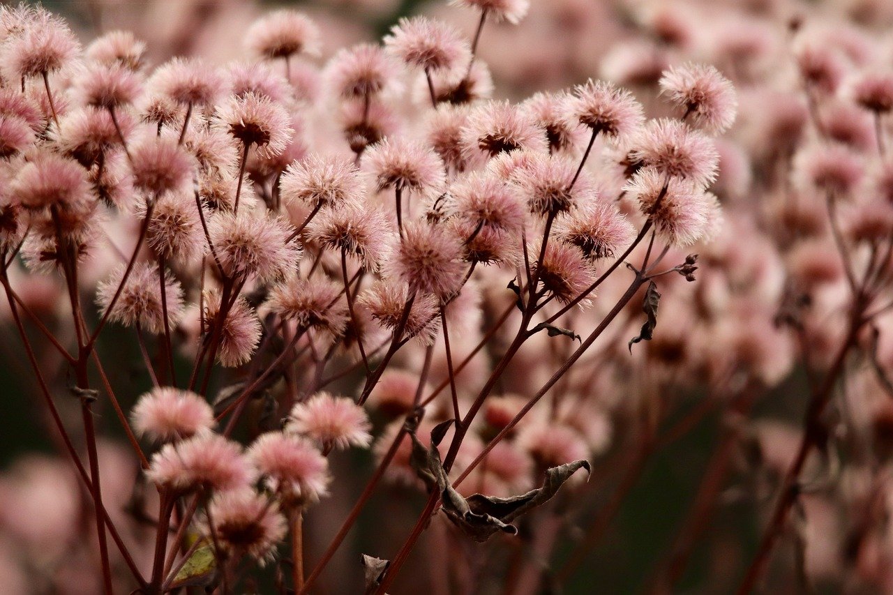 飞网ip实名账号：流量卡共享使用，可以吗？如何设置？