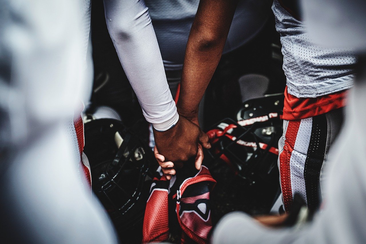 博希详情下载教程cc t app