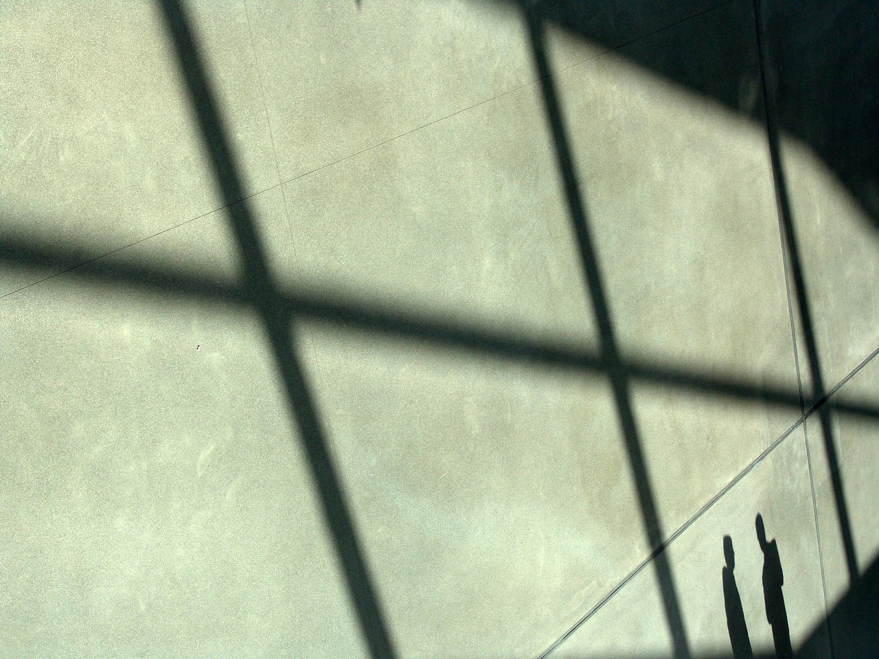 一伴app官方详情下载教程