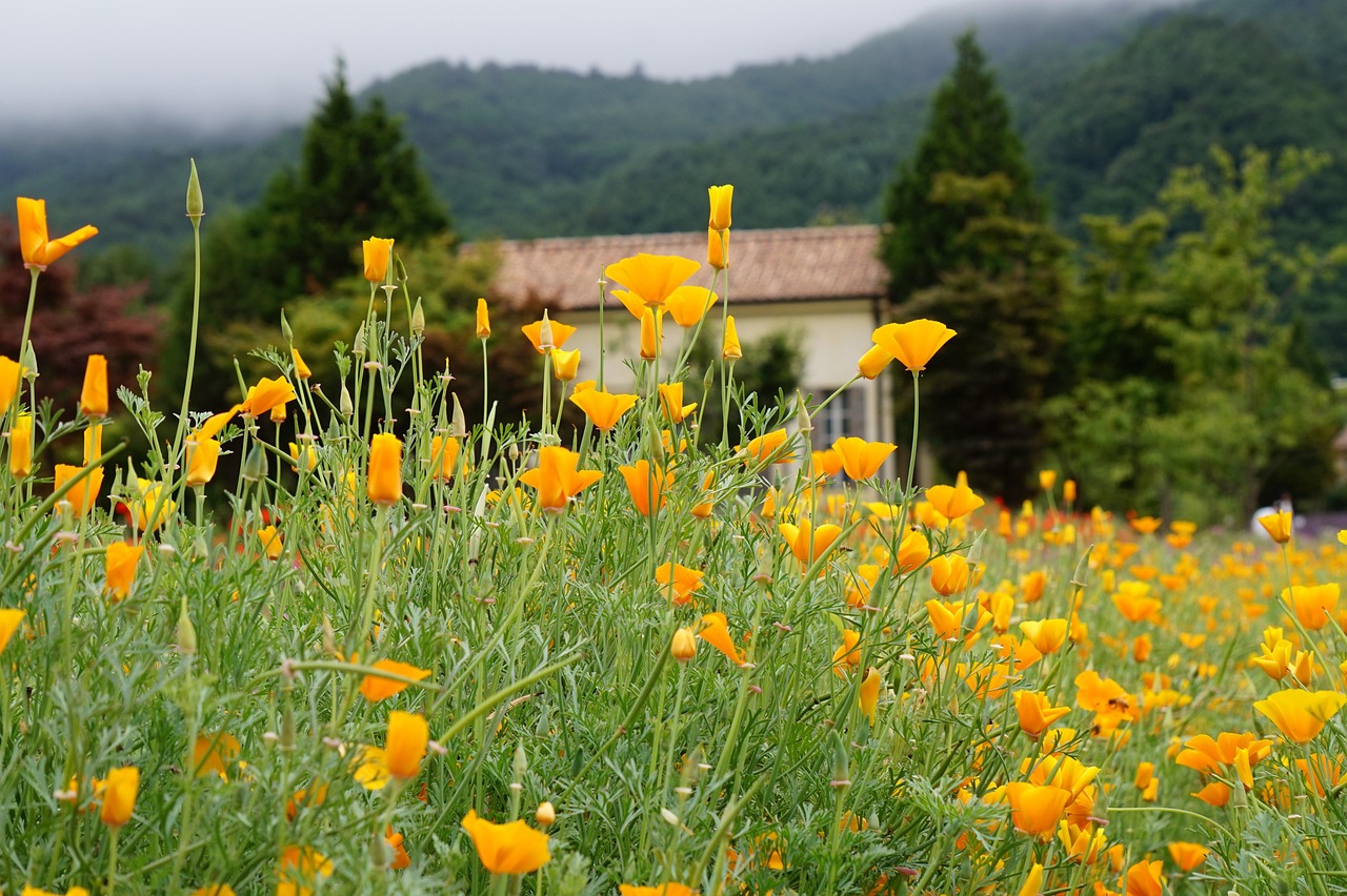 信时空实名账号：流量卡的延迟问题：怎样缓解延迟问题？