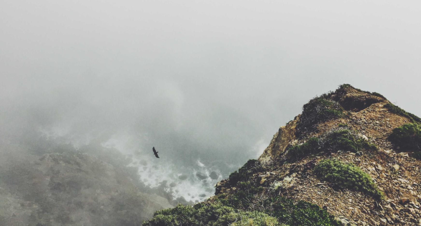 详情下载教程找到app