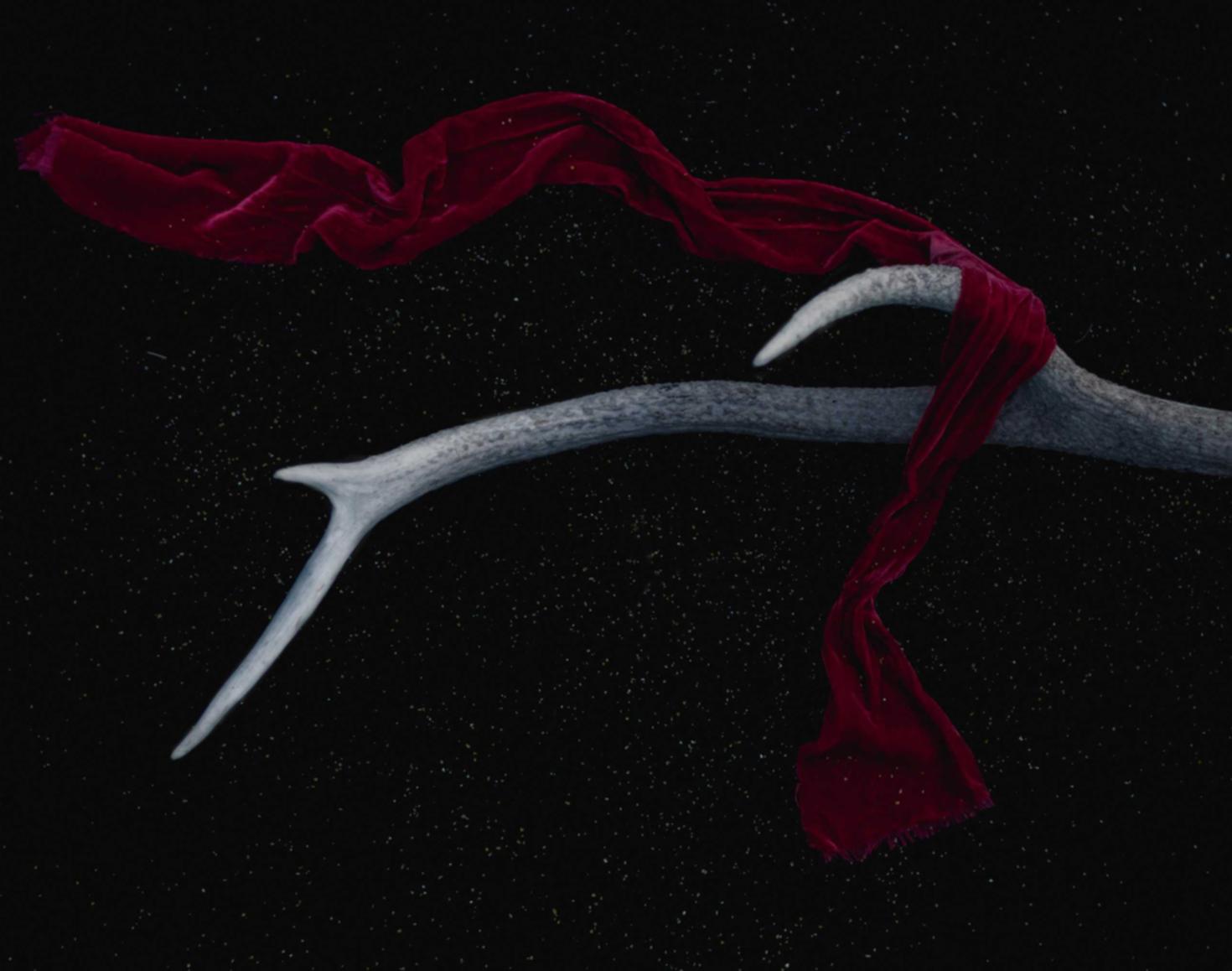 欧亚云实名账号:实名账号对于志愿者服务的支持