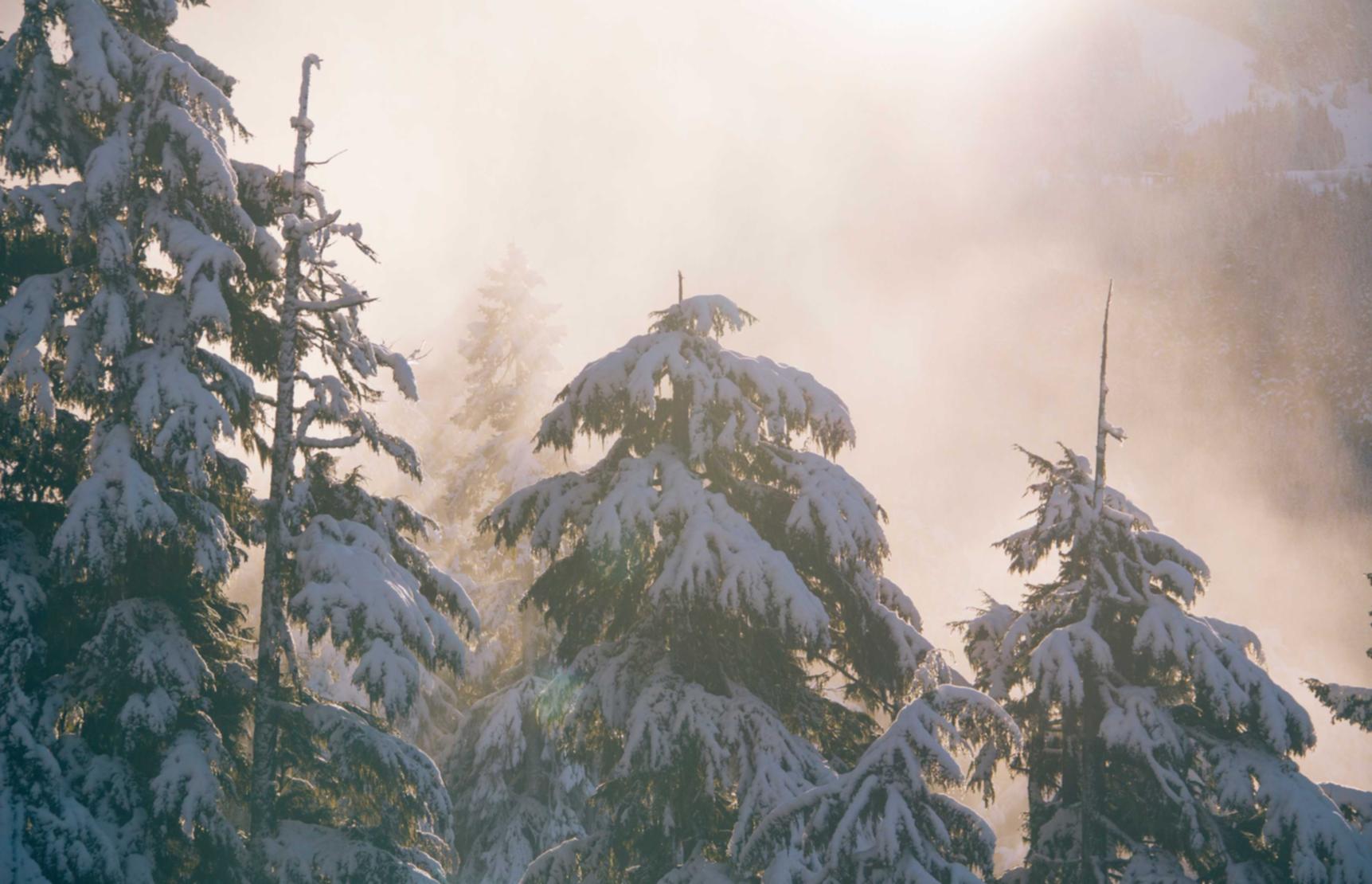 人脸实名账号:上海秦淮公司注册代理