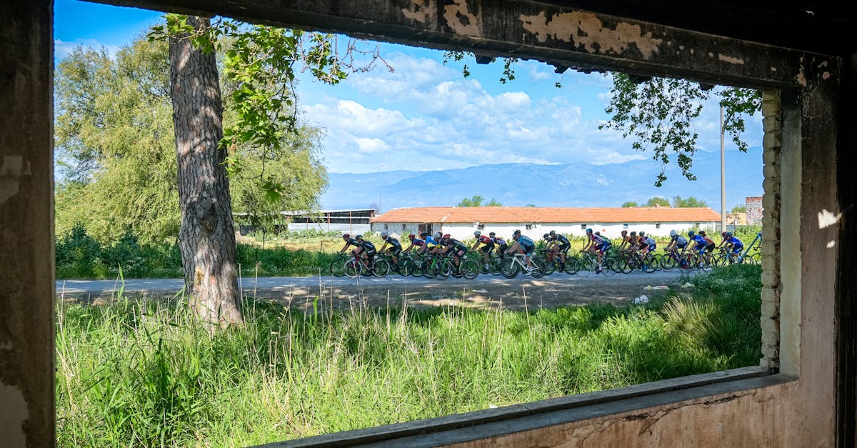 DDOS网页端|艺人 单飞 账号注册