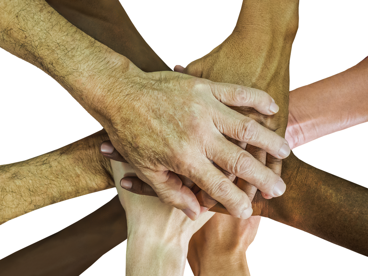 花田实名账号:康馨试药平台代理