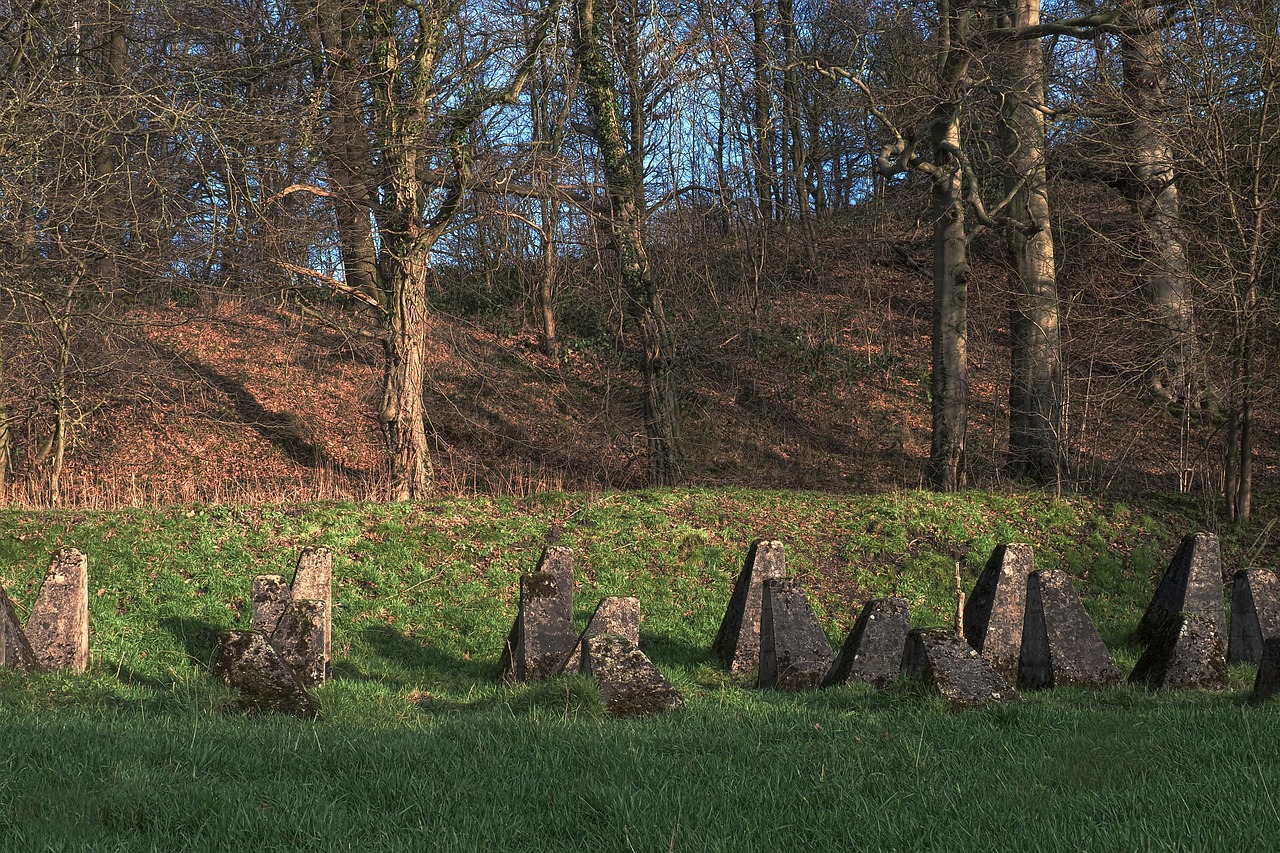 彩虹六号:围攻:iso音乐app详情下载教程