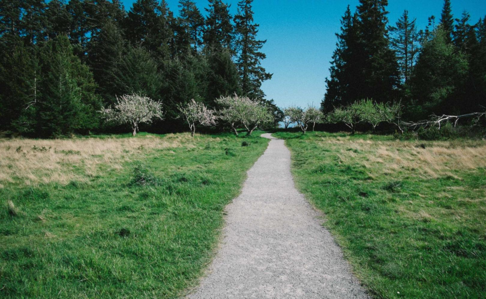 阿里通信实名账号：奉化公司注册代理